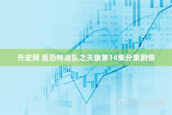 升宏网 反恐特战队之天狼第14集分集剧情